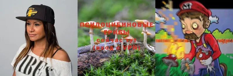 Псилоцибиновые грибы Cubensis  Новоуральск 